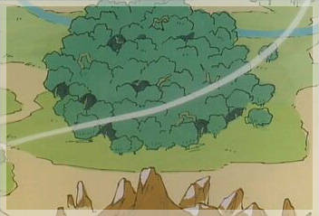 North East of the cliffs, the Forest of Silence.