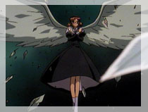 Fuu about to merge with Windam